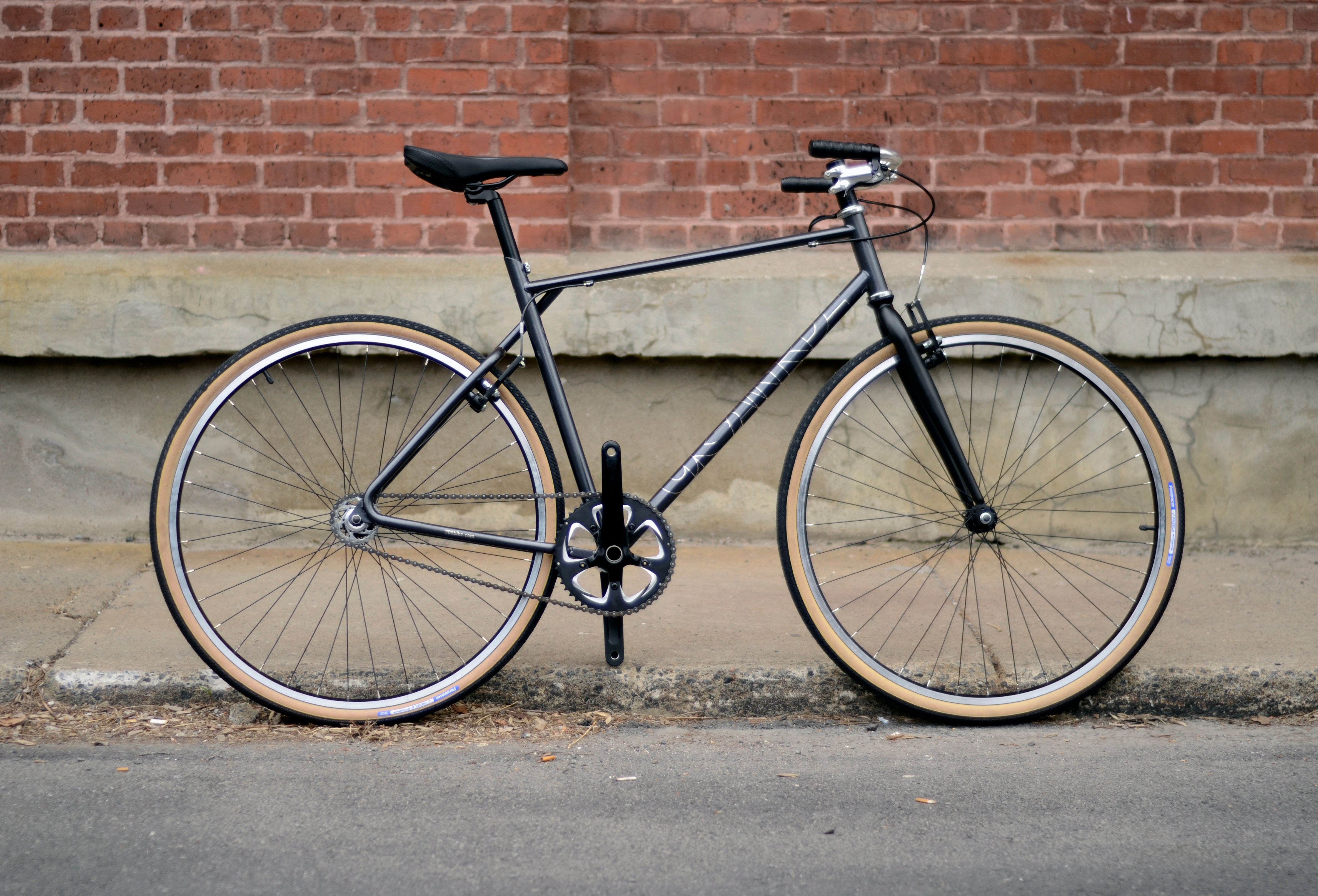 Eccentric Singlespeed Bike
