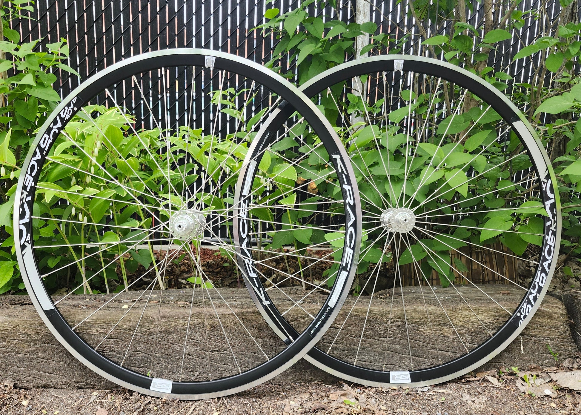 Track Wheelset, K-Race Rims x Pizz Hubs, 32H, Custom Built Wheel  Atelier Olympia