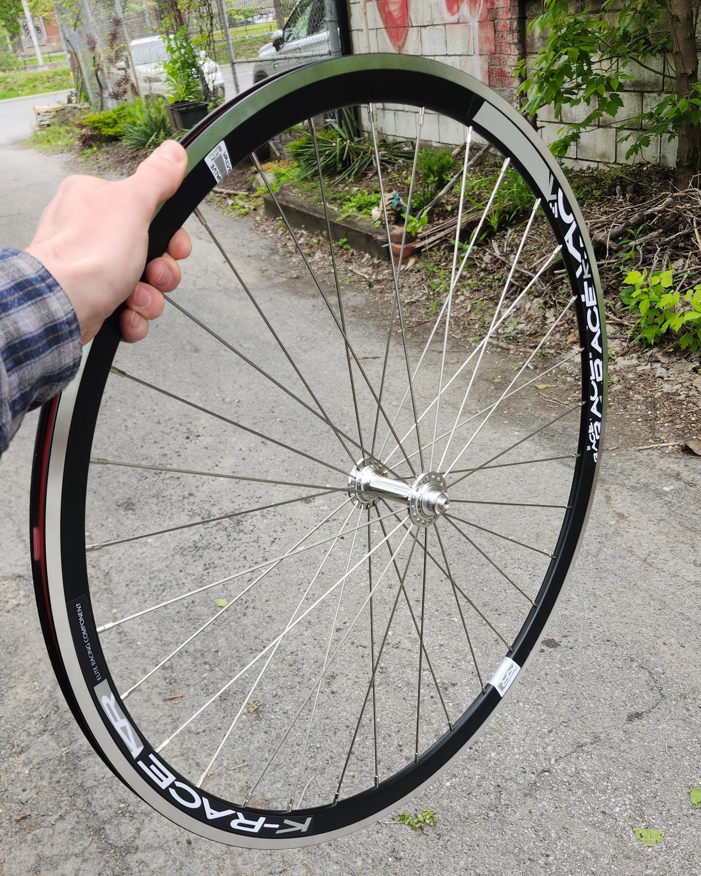 Track Wheelset, K-Race Rims x Pizz Hubs, 32H, Custom Built Wheel  Atelier Olympia