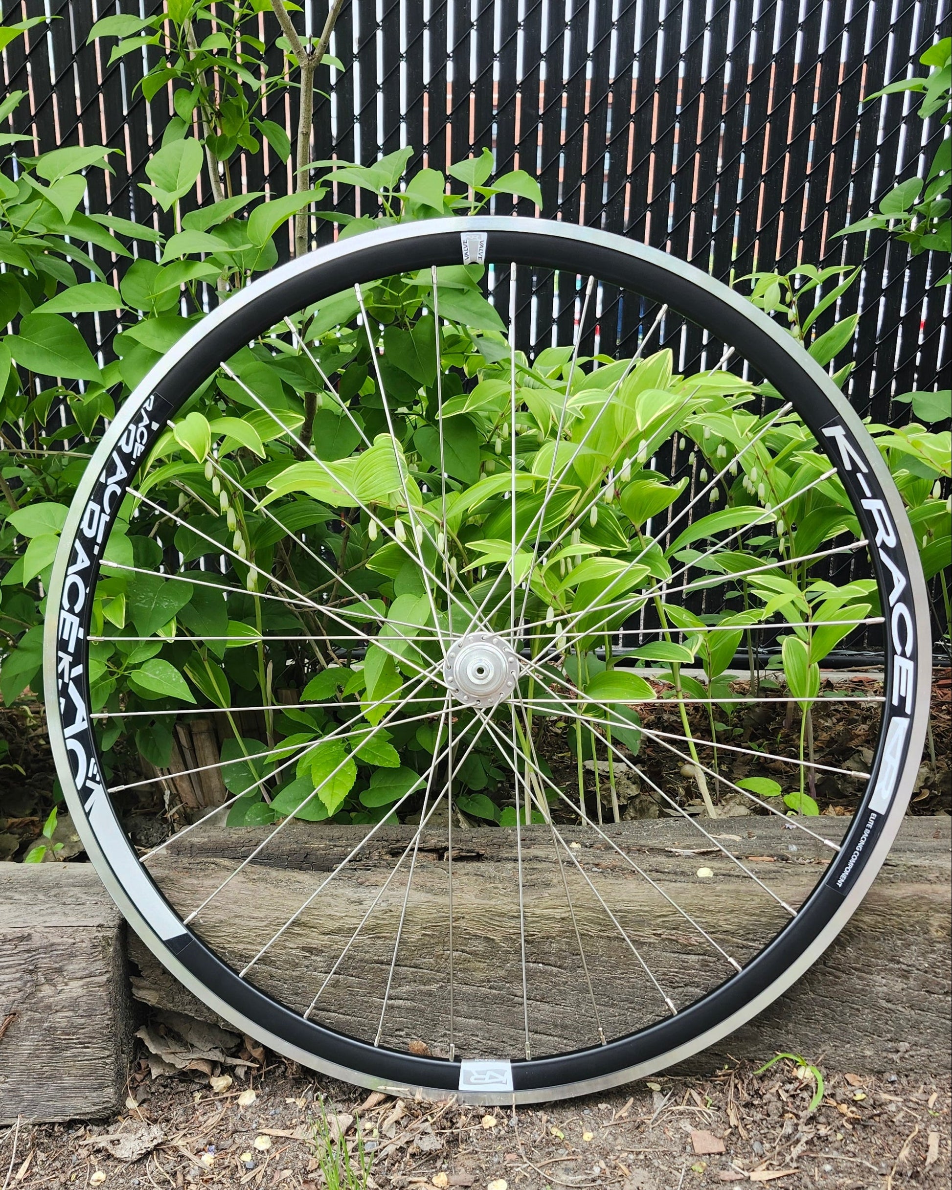 Track Wheelset, K-Race Rims x Pizz Hubs, 32H, Custom Built Wheel  Atelier Olympia