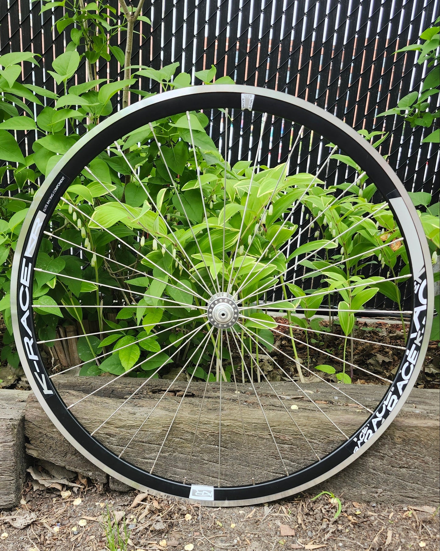 Track Wheelset, K-Race Rims x Pizz Hubs, 32H, Custom Built Wheel  Atelier Olympia