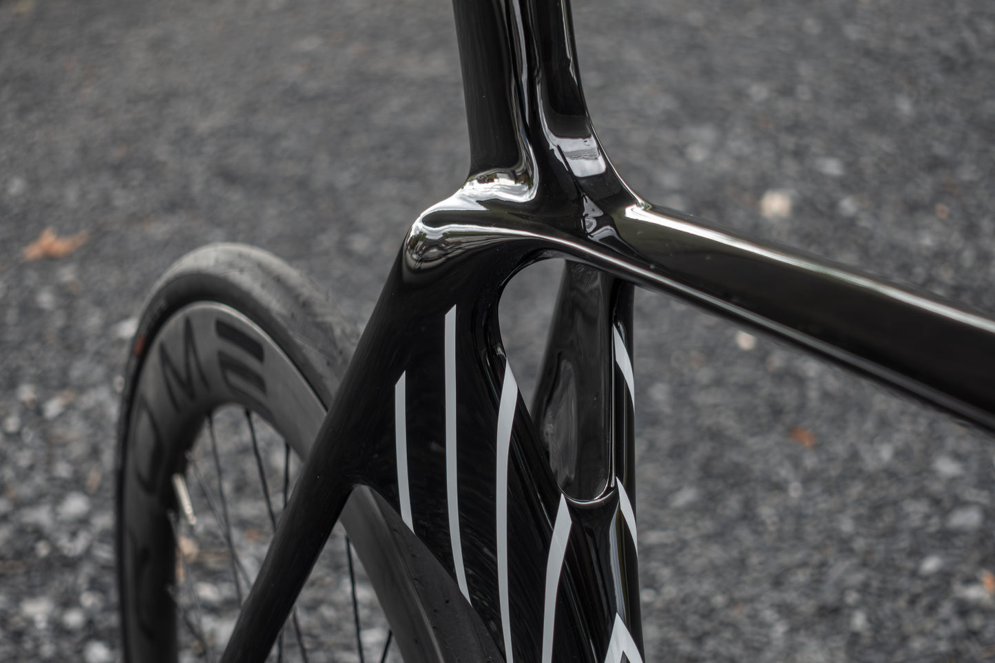 Elves Falath EXP Build Complete Bicycle  Atelier Olympia