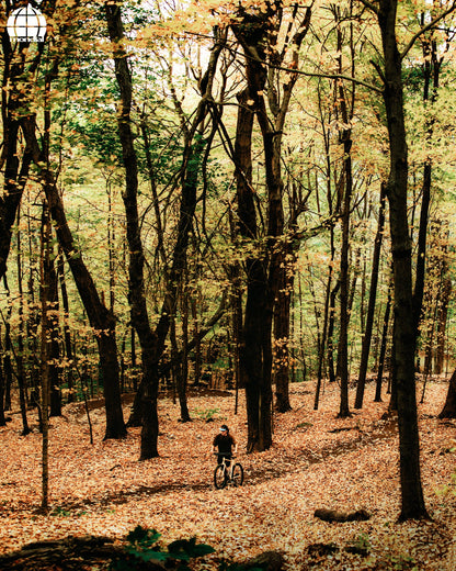 MONDIAL Frameset Frame  Atelier Olympia