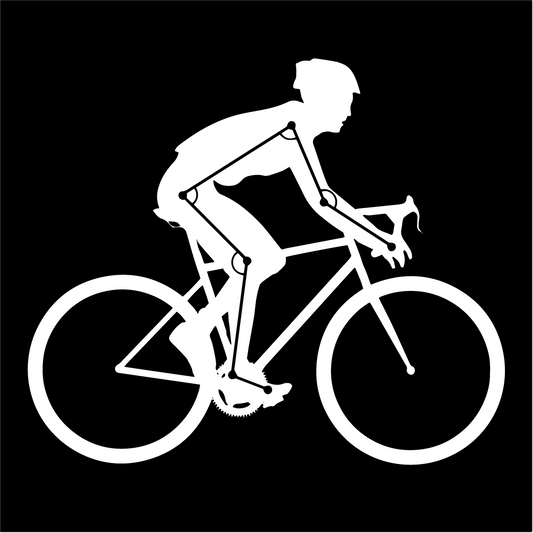 Bike Fitting Service  Atelier Olympia