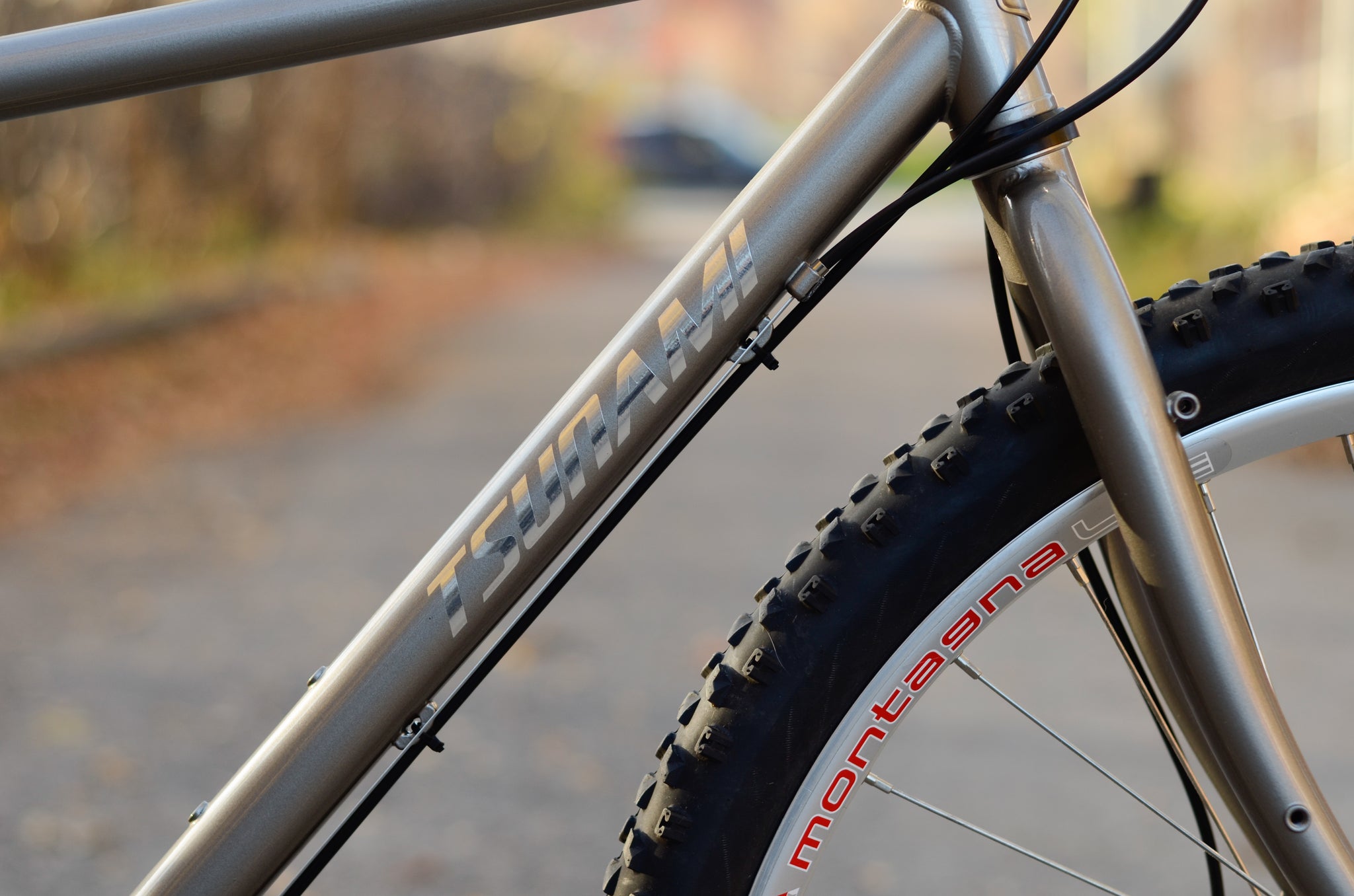 Tsunami BL26 Silver Bicycles 1300.00 Atelier Olympia