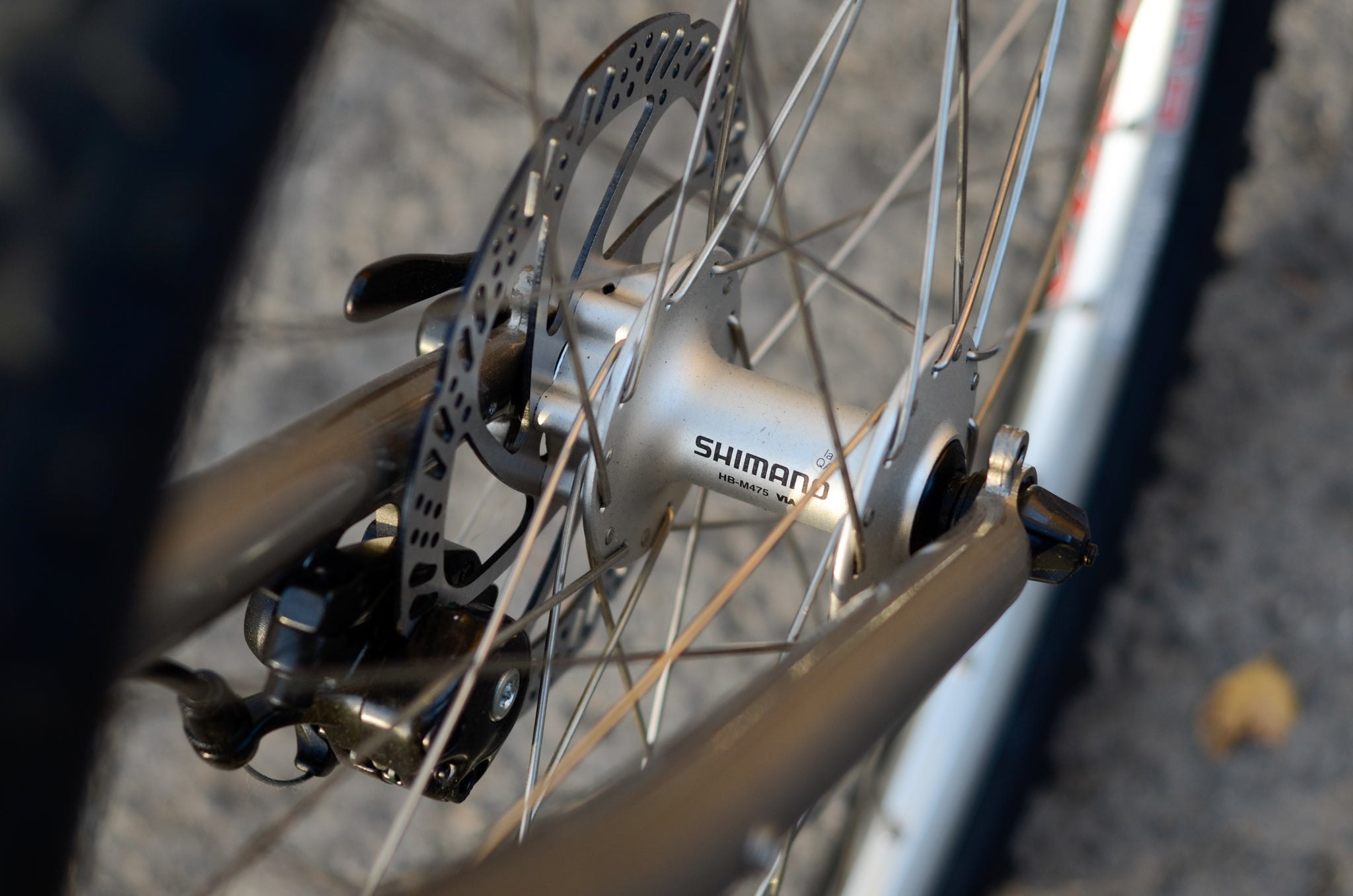 Tsunami BL26 Silver Bicycles 1300.00 Atelier Olympia