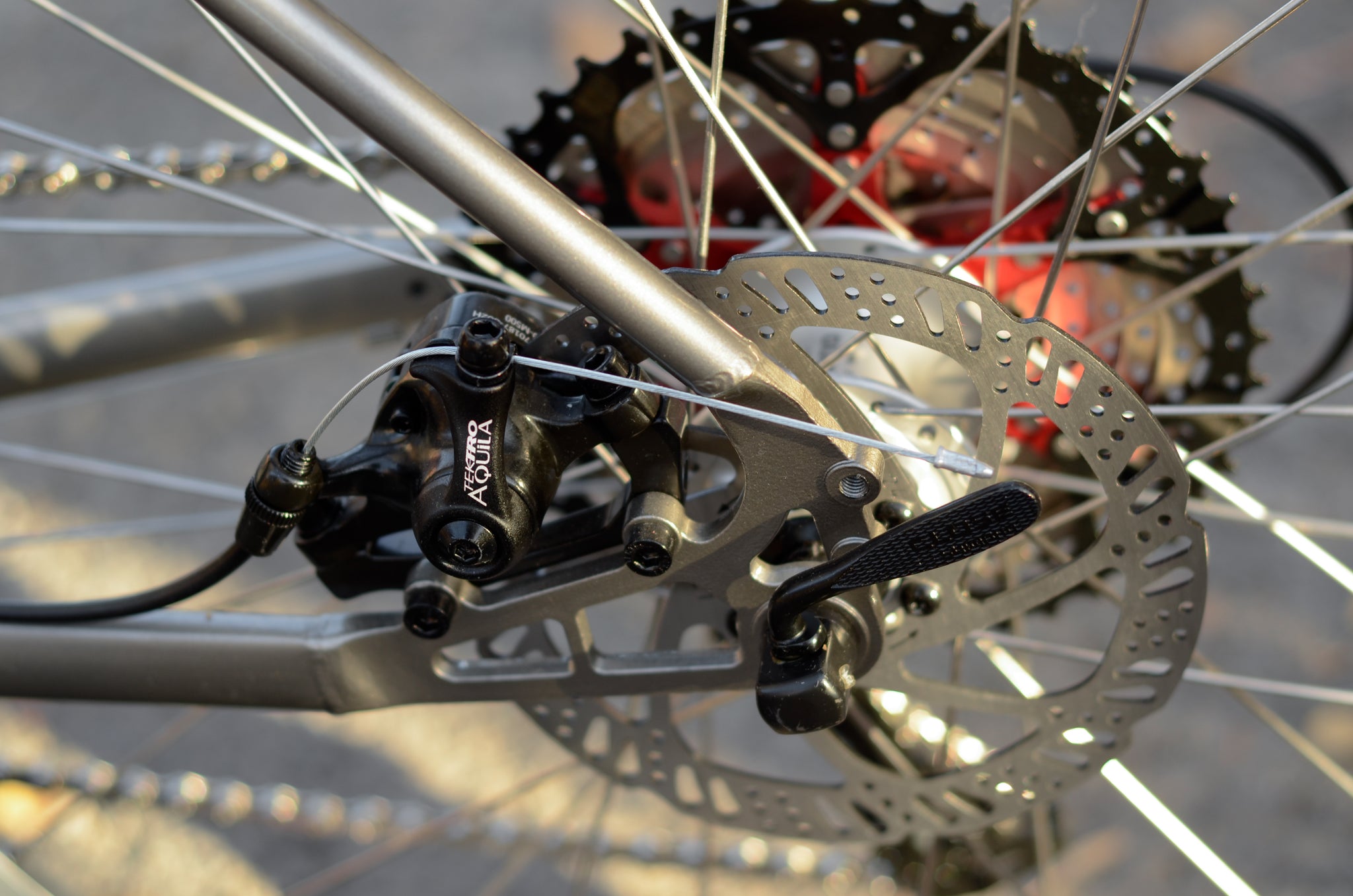 Tsunami BL26 Silver Bicycles 1300.00 Atelier Olympia