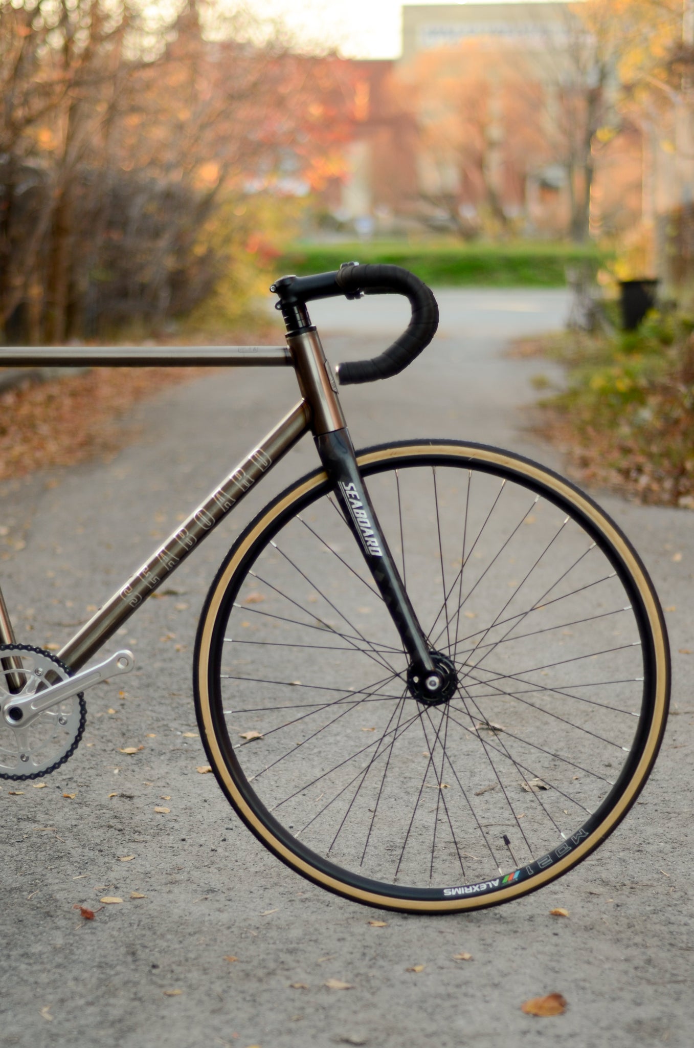 Seaboard FG03 Bicycles 1099.00 Atelier Olympia